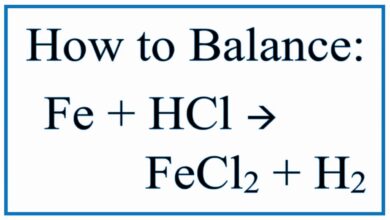 Reactivity of HCl with Fe: 15 Fascinating Facts