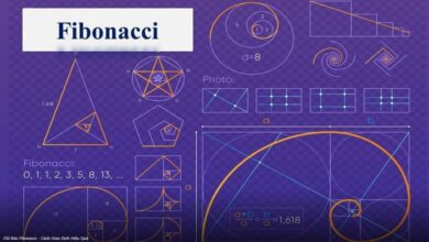 Fibonacci là gì? Ứng dụng dãy số Fibonacci trong forex - Tradervn