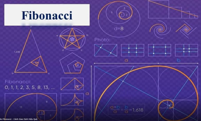 Fibonacci là gì? Ứng dụng dãy số Fibonacci trong forex - Tradervn