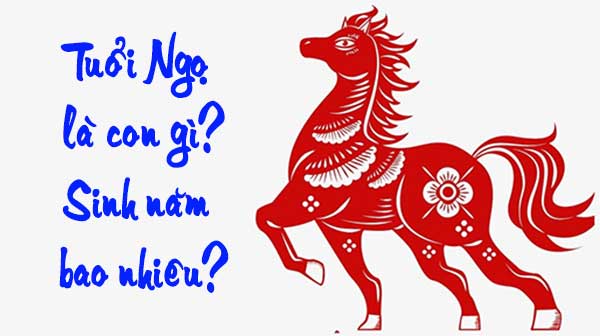 Tuổi Ngọ Là Con Gì? Sinh Năm Bao Nhiêu?