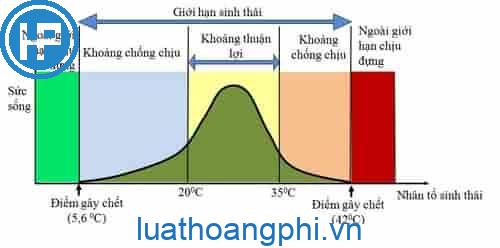 Giới hạn sinh thái là gì? - Luật Hoàng Phi