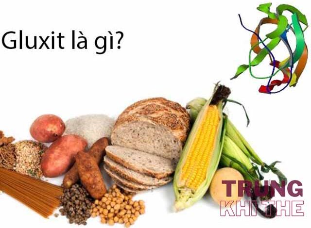 Gluxit là gì? Vai trò của Gluxit và Gluxit có ở đâu - Trungkhithe