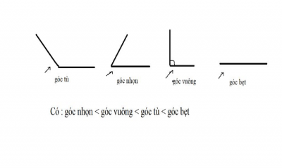 Góc là gì? Thế nào là góc vuông, góc nhọn, góc tù, góc bẹt?