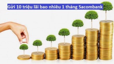Gửi 10 Triệu Lãi Bao Nhiêu 1 Tháng Sacombank Theo Lãi Suất Mới
