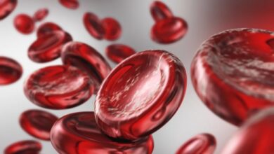 Các Loại Hemoglobin và Tầm Quan Trọng Trong Cơ Thể