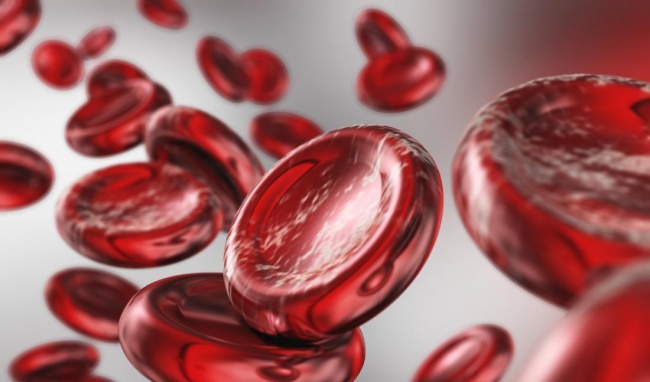 Các Loại Hemoglobin và Tầm Quan Trọng Trong Cơ Thể