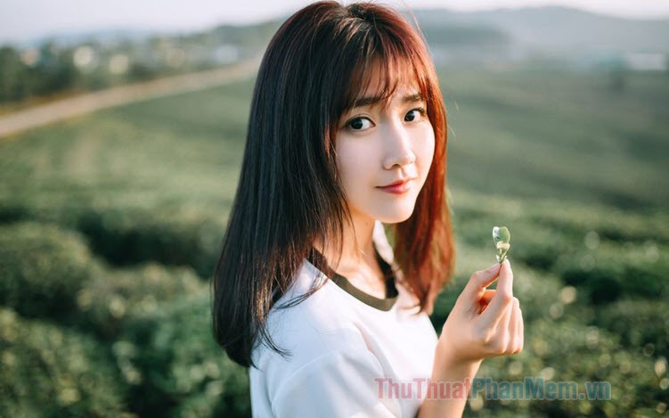 Hình ảnh Cute Người