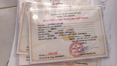Tìm hiểu về dịch vụ làm bằng cấp 3 bổ túc - Baoxinviec.com