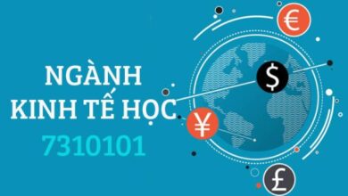 Ngành Kinh tế là gì? Tìm hiểu ngành nghề - TrangEdu