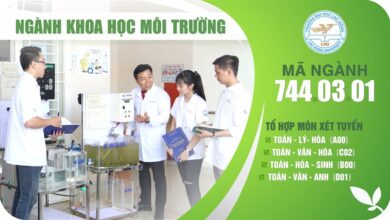 Ngành Khoa học Môi trường học gì? Ra trường làm gì? Làm ở đâu?