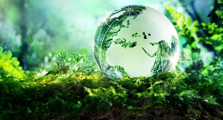 Ngành khoa học môi trường ra làm gì? Học ở trường nào? - JobsGO