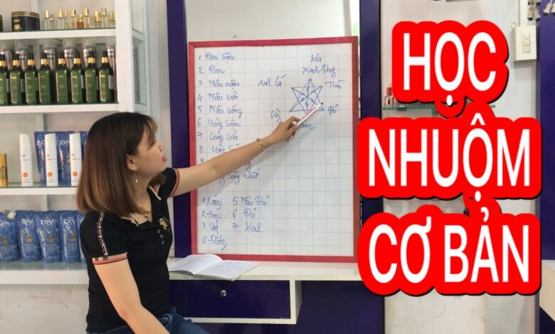 Khóa Đào Tạo Dạy Học Nhuộm Tóc Chuyên Nghiệp
