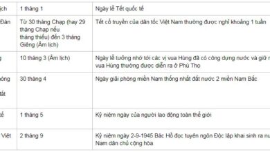 Rất Hay: Bạn Có Biết Hôm Nay Là Ngày Lễ Gì Ở Việt Nam? Những