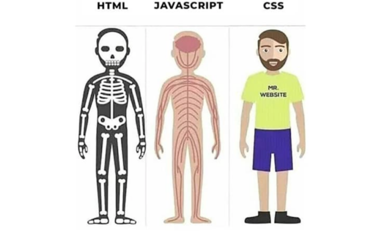 HTML là gì? - TopDev