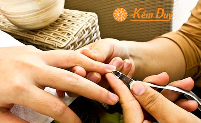 Hướng Dẫn Cách Cầm Kìm Cho Người Làm Nail Cơ Bản - Kềm Duy