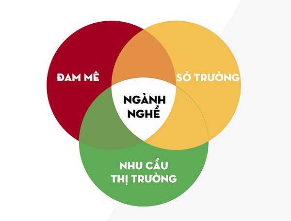 Định hướng nghề nghiệp cho học sinh trung học phổ thông