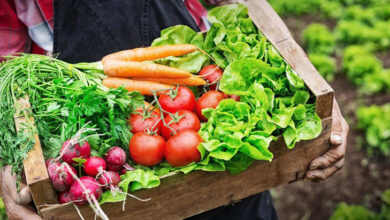 Thực phẩm hữu cơ là gì? Lợi ích và cách nhận biết thực phẩm hữu cơ