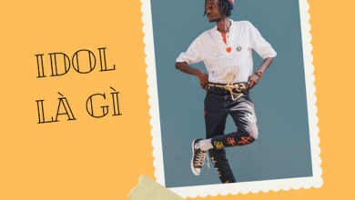 Idol là gì? Đu Idol là gì? Có nên học theo Idol hay không - Chanh Tươi