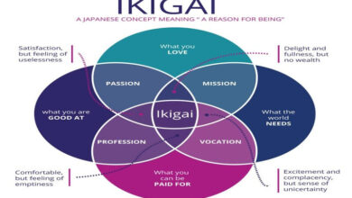 Ikigai là gì? Các yếu tố xác định Ikigai của bản thân - JobsGO Blog