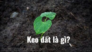 Keo đất là gì? Keo đất mang điện tích gì? Cấu tạo, đặc điểm