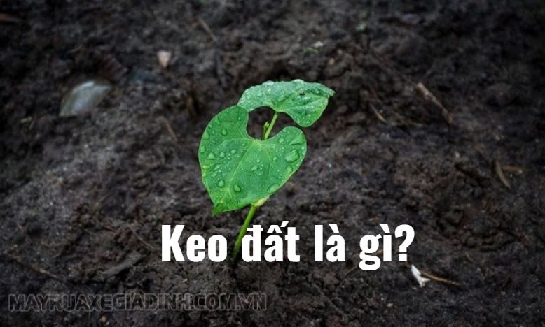 Keo đất là gì? Keo đất mang điện tích gì? Cấu tạo, đặc điểm