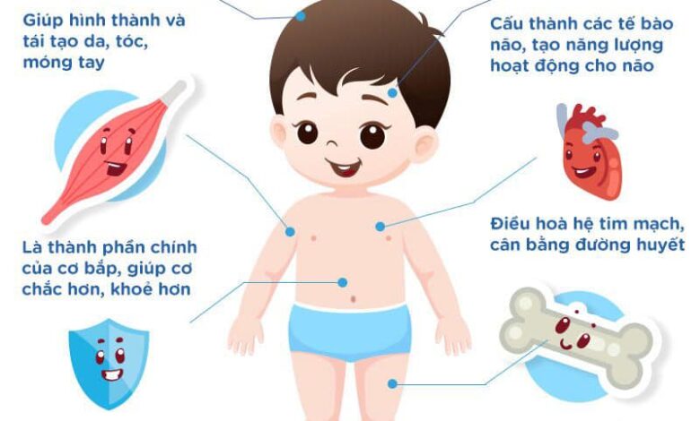 Kháng thể là gì? Định nghĩa về kháng thể theo cách dễ hiểu nhất?