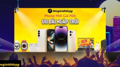 Kích thước khổ giấy A5 là bao nhiêu? Cách chọn, in giấy A5 trong