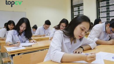 Các ngành nghề khối C gồm những gì? Top 5 nghề thu nhập ổn