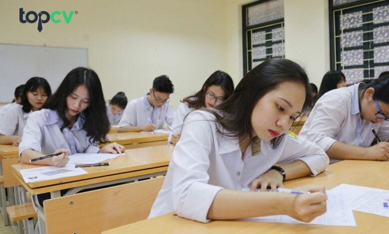 Các ngành nghề khối C gồm những gì? Top 5 nghề thu nhập ổn