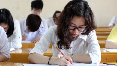 Kỳ thi đại học tiếng Anh là gì, định nghĩa, ví dụ Anh Việt