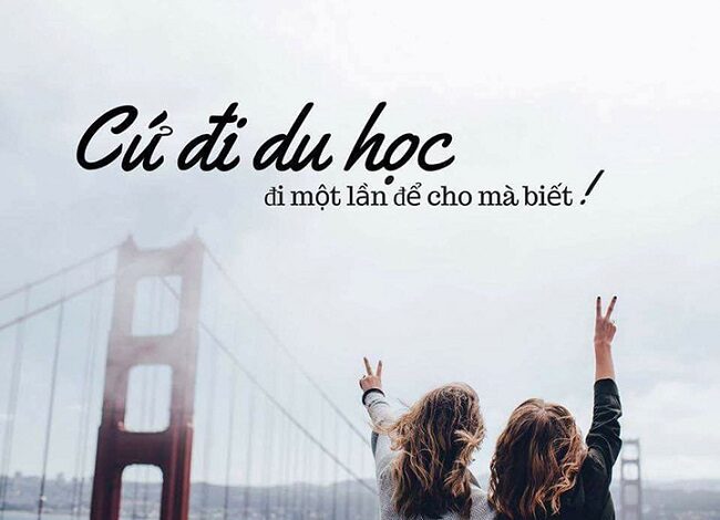 Không học đại học thì làm gì? Sự khác biệt có tạo nên kỳ tích