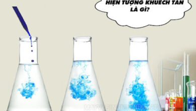 Rất Hay: Hiện tượng khuếch tán là gì? Tại sao lại ... - Nhà Xinh Plaza