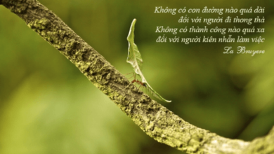 Sức mạnh của sự kiên nhẫn, rèn luyện tính kiên nhẫn