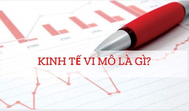 Kinh tế vi mô là gì? 4 tiêu chí phân biệt rõ kinh tế vi mô và kinh tế vĩ mô