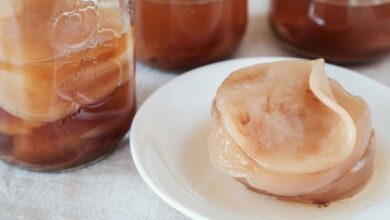 Kombucha là gì? Cách nuôi Scoby trong trà ... - Điện máy XANH