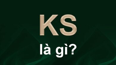 KS là gì? Tìm hiểu ý nghĩa của KS trong game online và cuộc sống hàng ngày