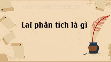 Lai phân tích là gì? Cho ví dụ? Ý nghĩa của phép lai phân tích