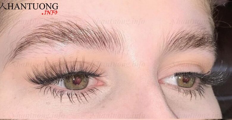 Lông mày mọc lộn xộn, lung tung - Tìm hiểu về tính cách và vận mệnh