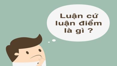 Luận cứ là gì? Luận điểm là gì? Cách tìm và xác định