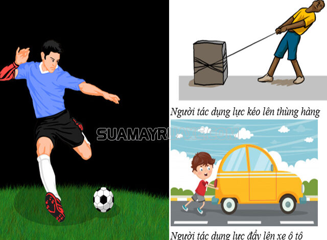 Lực là gì? Làm rõ khái niệm, đặc điểm và công thức tính toán