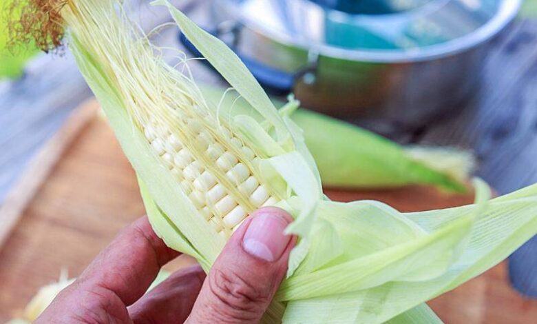 Luộc ngô, chỉ cần bỏ thêm 2 nguyên liệu này vào nồi, ngô vừa ngọt