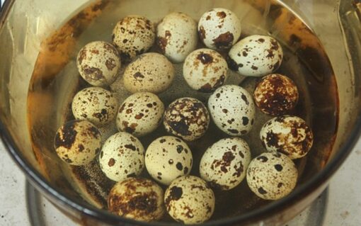 Luộc trứng cút bao nhiêu phút chín? Mẹo luộc trứng dễ bóc vỏ