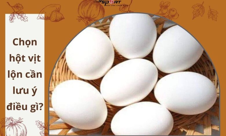 Luộc trứng vịt lộn bao lâu thì chín và ngon khó cưỡng? - Elipsport