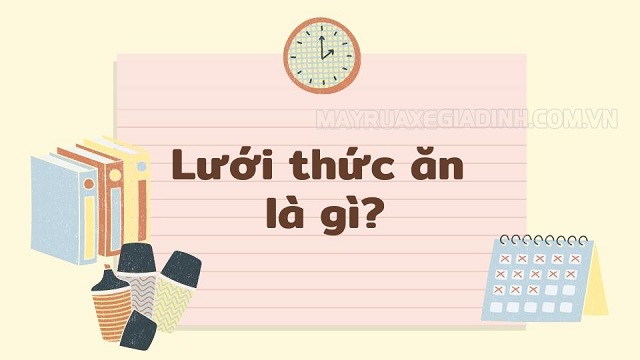 Lưới thức ăn là gì cho ví dụ? ý nghĩa lưới thức ăn ... - Máy Rửa Xe