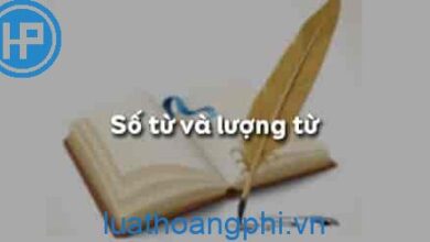 Số từ và lượng từ là gì? - Luật Hoàng Phi