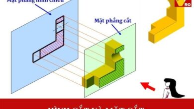 Hình cắt và mặt cắt là gì? Ứng dụng trong cuộc sống