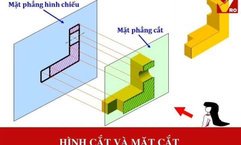 Hình cắt và mặt cắt là gì? Ứng dụng trong cuộc sống
