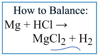 11 Facts on HCl + Mg: With Several Elements Reaction
