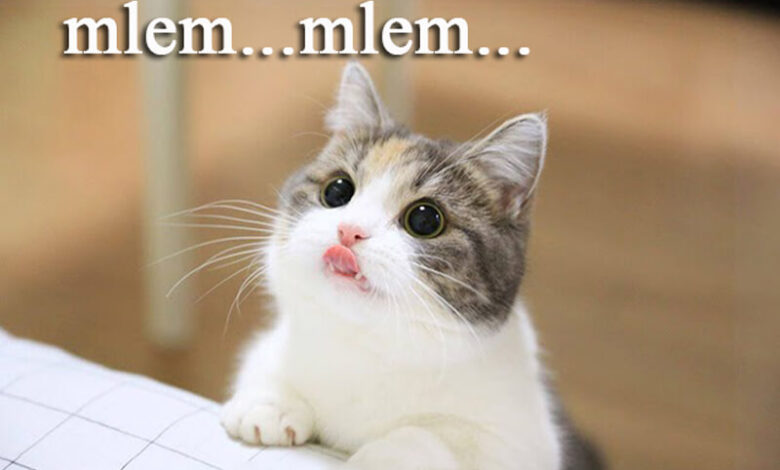 Mlem mlem là gì trên Facebook? Mà giới trẻ nào cũng biết và hay sử