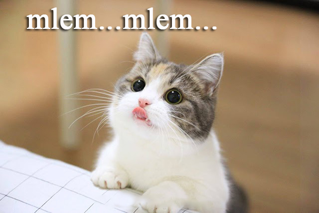 Mlem mlem là gì? Ý nghĩa thú vị đằng sau hot trend Mlem mlem
